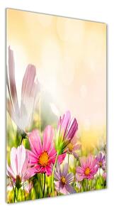 Vertikálny foto obraz sklenený Poľné kvety osv-44427234