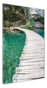 Vertikálny foto obraz fotografie na skle Plitvické jazerá