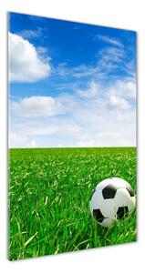Vertikálny foto obraz sklenený Futbal na lúke