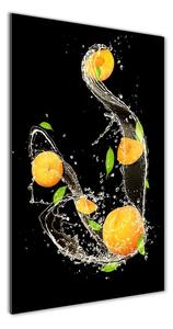 Vertikálny foto obraz sklo tvrdené Pomaranče osv-47488007