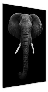 Vertikálny foto obraz fotografie na skle Africký slon