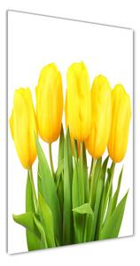 Vertikálny foto obraz sklenený Žlté tulipány