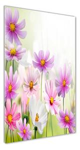Vertikálny fotoobraz na skle Poľné kvety osv-49015861