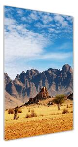 Vertikálny foto obraz sklenený Namibská púšť