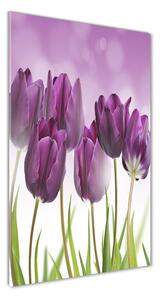 Vertikálny foto obraz sklenený Fialové tulipány