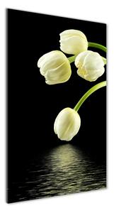 Vertikálny foto obraz fotografie na skle Biele tulipány
