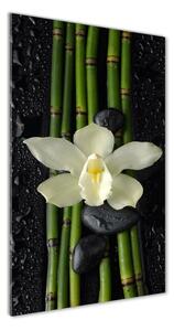 Vertikálny foto obraz fotografie na skle Orchidea a bambus