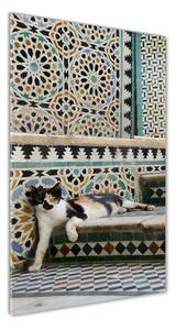 Vertikálny foto obraz sklenený Kocúr v Maroku