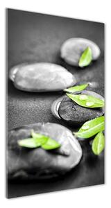 Vertikálny foto obraz sklenený Lístie kamenia zen