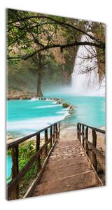 Vertikálny fotoobraz na skle Vodopád Mexiko osv-61014941