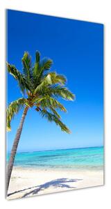 Vertikálny fotoobraz na skle Tropická pláž osv-60645814