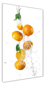 Vertikálny foto obraz sklenený Pomaranče osv-63072139
