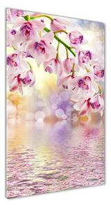 Vertikálny foto obraz sklenený Orchidea osv-65501947