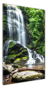 Vertikálny foto obraz fotografie na skle Vodopád v džungli