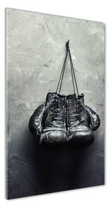 Vertikálny foto obraz sklo tvrdené Boxerske rukavice