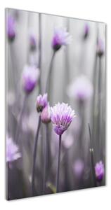 Vertikálny foto obraz sklo tvrdené Kvety pažítky