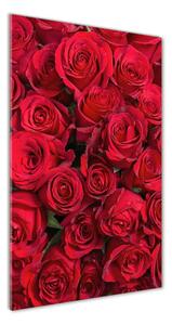 Vertikálny fotoobraz na skle Červené ruže osv-67561194