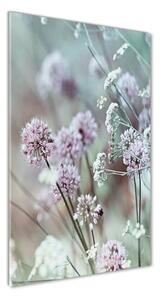Vertikálny foto obraz sklenený Kvety cesnaku osv-68608156