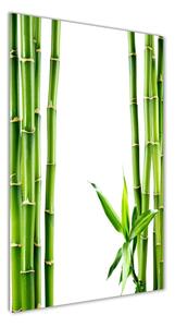 Vertikálny fotoobraz na skle Bambus osv-68827460