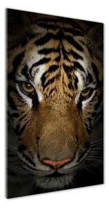Vertikálny foto obraz fotografie na skle Tiger osv-69917271