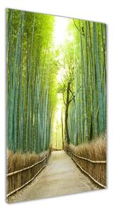 Vertikálny foto obraz sklenený Bambusový les osv-72519653