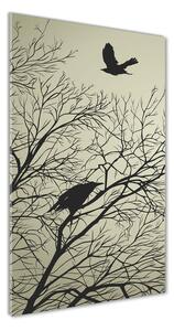 Vertikálny foto obraz fotografie na skle Vrany na strome