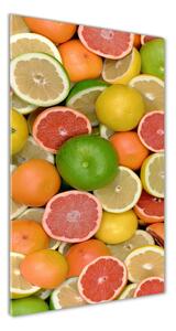 Vertikálny foto obraz sklenený Citrusové ovocie