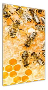 Vertikálny foto obraz sklenený Pracujúce včely