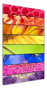 Vertikálny foto obraz sklenený Farebné kvety osv-76360035