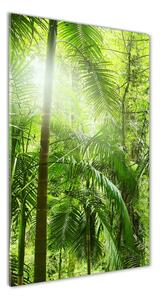 Vertikálny foto obraz sklenený Dažďový prales