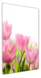 Vertikálny foto obraz fotografie na skle Ružové tulipány