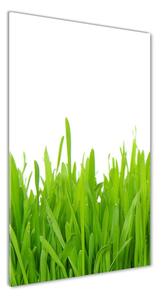 Vertikálny fotoobraz na skle Zelená tráva osv-78248297