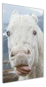 Vertikálny foto obraz fotografie na skle Šialený biely kôň