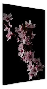 Vertikálny foto obraz sklenený Kvety višne osv-80647628
