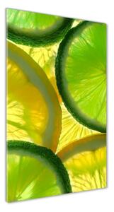 Vertikálny foto obraz sklenený Limetka a citón