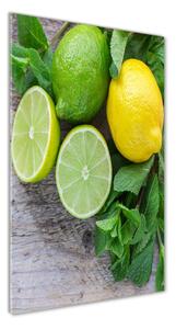 Vertikálny foto obraz sklenený Limetky a citrón