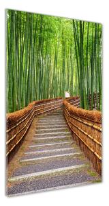Vertikálny fotoobraz na skle Bambusový les osv-81607376