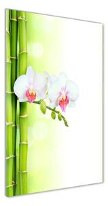 Vertikálny foto obraz sklenený Orchidea a bambus