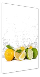 Vertikálny foto obraz fotografie na skle Citrusy