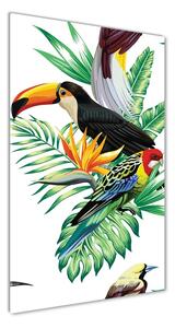 Vertikálny foto obraz sklenený Tropické vtáky