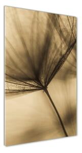 Vertikálny foto obraz sklenený Semená púpavy