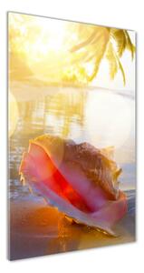 Vertikálny foto obraz fotografie na skle Mušle na pláži