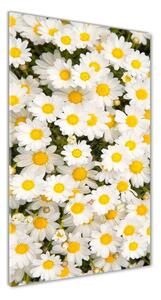 Vertikálny foto obraz fotografie na skle Kvety semikrásky