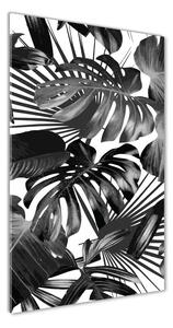 Vertikálny fotoobraz na skle Tropické listy osv-83345208