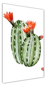 Vertikálny foto obraz sklenený Kaktusy osv-86911813