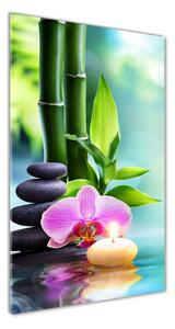 Vertikálny foto obraz sklenený Orchidea a bambus