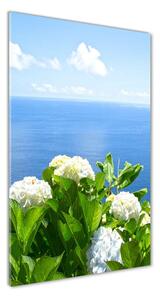Vertikálny foto obraz sklo tvrdené Hortenzie more
