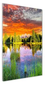 Vertikálny foto obraz sklenený Jazero v lese osv-89317009