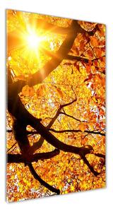 Vertikálny foto obraz sklenený Jesenný strom osv-89060594