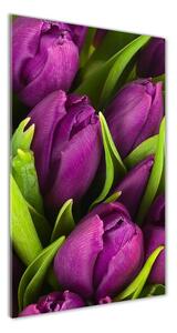 Vertikálny foto obraz sklo tvrdené Fialové tulipány